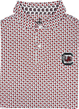 South Carolina Gamecocks