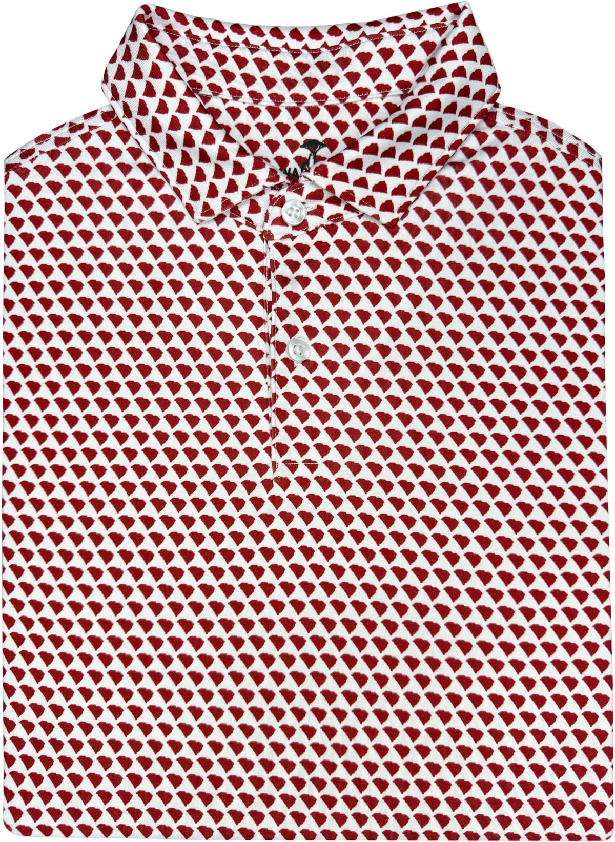 State Print Golf Shirt For Men - Short Sleeve Performance Polo - South Carolina